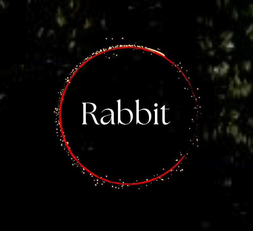 Rabbit Vibrators