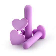 Wellness 4 Piece Silicone Dilator Kit in Purple